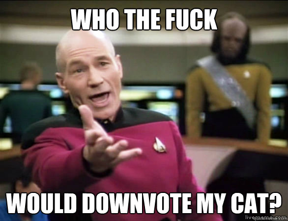 who the fuck would downvote my cat?  Annoyed Picard HD