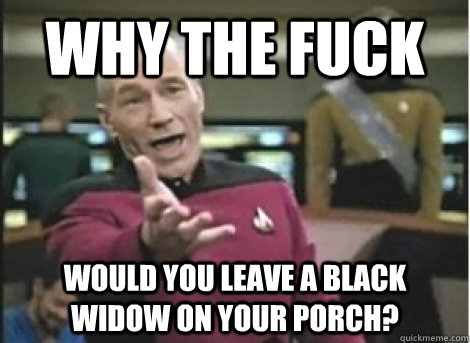 Why the fuck Would you leave a black widow on your porch? - Why the fuck Would you leave a black widow on your porch?  Misc