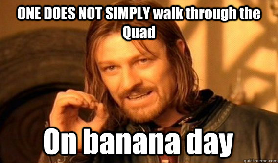 ONE DOES NOT SIMPLY walk through the Quad On banana day  One Does Not Simply
