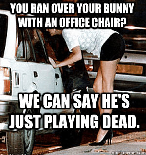 You ran over your bunny with an office chair? We can say he's just playing dead. - You ran over your bunny with an office chair? We can say he's just playing dead.  Karma Whore