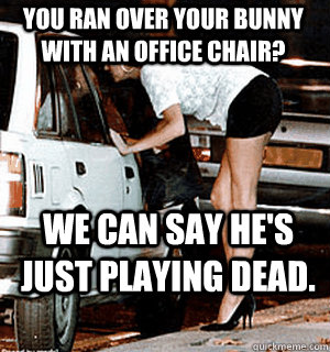 You ran over your bunny with an office chair? We can say he's just playing dead.  Karma Whore