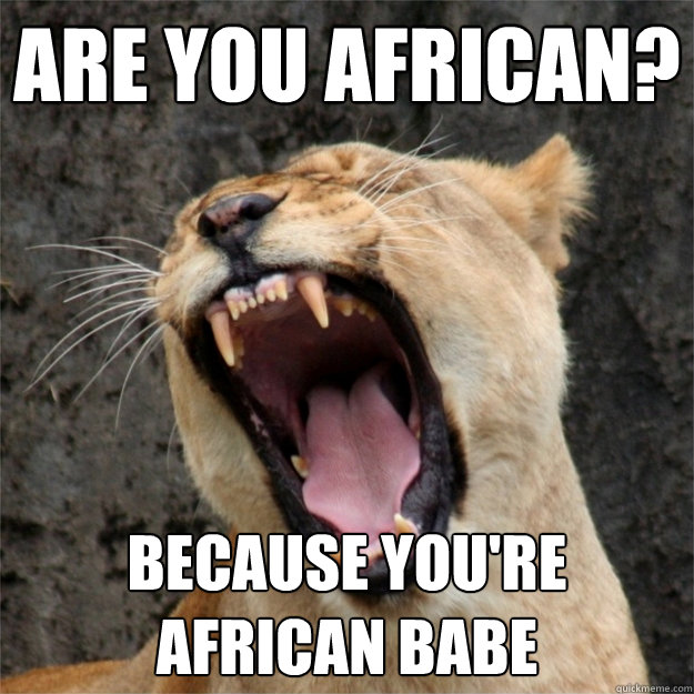 are you african? because you're African babe - are you african? because you're African babe  pick up line lion