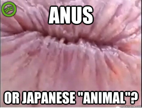 Anus Or Japanese 