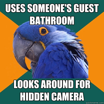 uses someone's guest bathroom looks around for hidden camera   Paranoid Parrot
