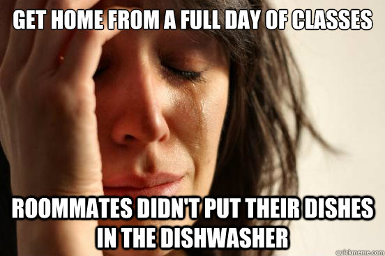 Get home from a full day of classes roommates didn't put their dishes in the dishwasher  First World Problems