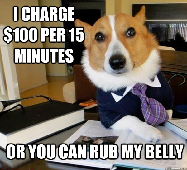 I charge $100 per 15 minutes Or you can rub my belly  Lawyer Dog