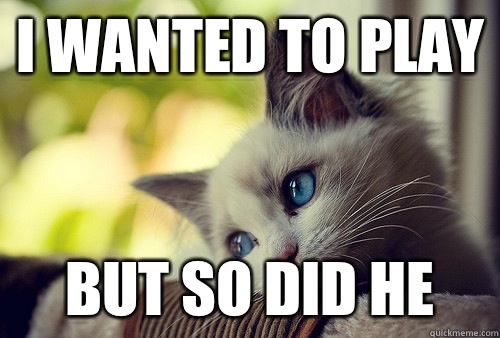 I wanted to play But so did he  First World Problems Cat