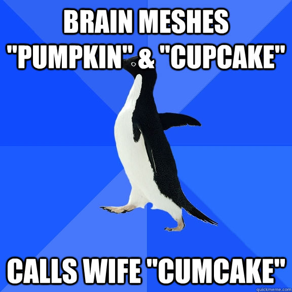 Brain meshes 