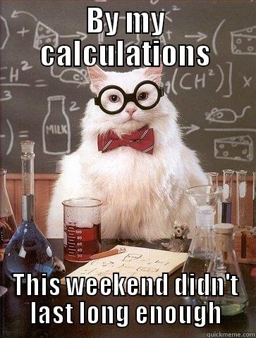 BY MY CALCULATIONS THIS WEEKEND DIDN'T LAST LONG ENOUGH Chemistry Cat