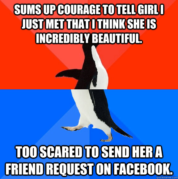 Sums Up Courage to Tell Girl I Just Met That I think she is incredibly beautiful. Too Scared to send her a friend request on facebook.   Socially Awesome Awkward Penguin