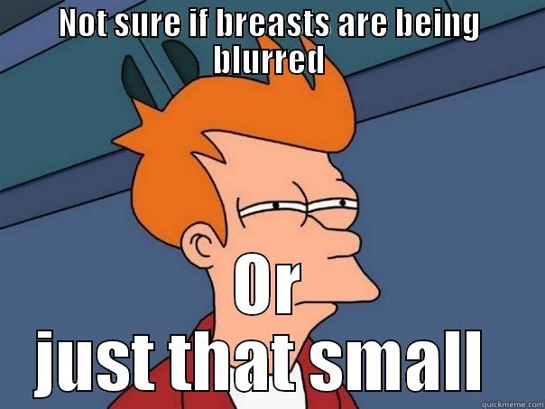 NOT SURE IF BREASTS ARE BEING BLURRED OR JUST THAT SMALL  Futurama Fry