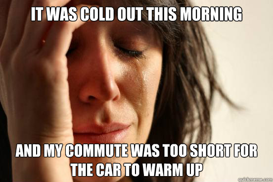 it was cold out this morning and my commute was too short for the car to warm up  First World Problems