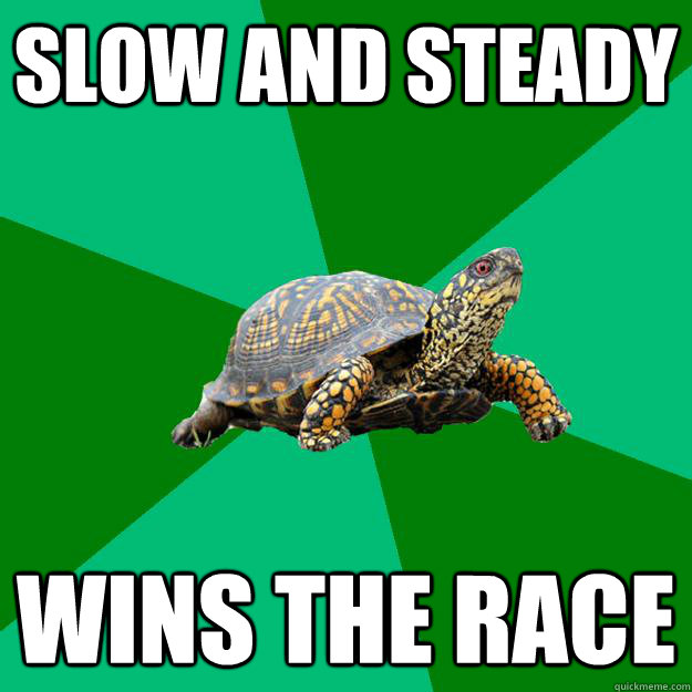 Slow and steady wins the race - Slow and steady wins the race  Torrenting Turtle