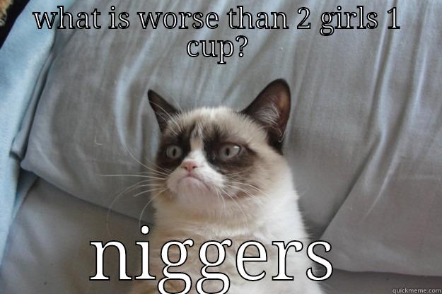 WHAT IS WORSE THAN 2 GIRLS 1 CUP? NIGGERS Grumpy Cat