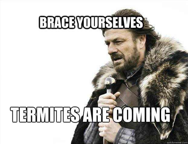 BRACE YOURSELves termites are coming  BRACE YOURSELF SOLO QUEUE