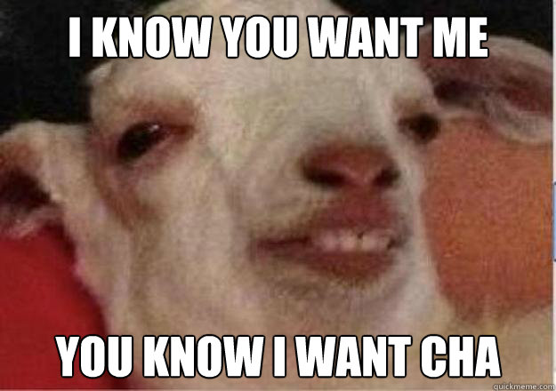 I KNOW YOU WANT ME YOU KNOW I WANT CHA Caption 3 goes here - I KNOW YOU WANT ME YOU KNOW I WANT CHA Caption 3 goes here  Misc