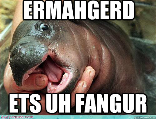 ERMAHGERD Ets uh fangur - ERMAHGERD Ets uh fangur  ERMAHGERD HIPPO