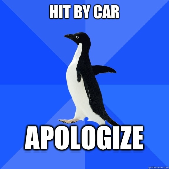 Hit by car apologize  Socially Awkward Penguin