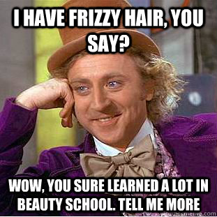 I HAVE FRIZZY HAIR, YOU SAY? WOW, YOU SURE LEARNED A LOT IN BEAUTY SCHOOL. TELL ME MORE  Creepy Wonka