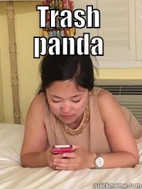 TRASH PANDA  Misc