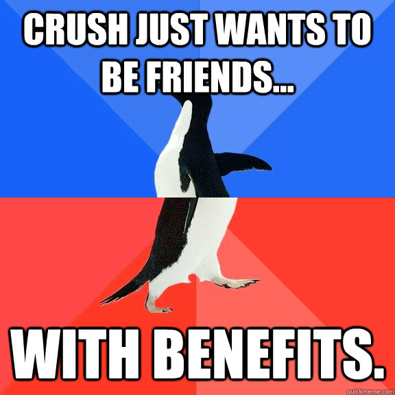 Crush just wants to be friends... With benefits.  Socially Awkward Awesome Penguin