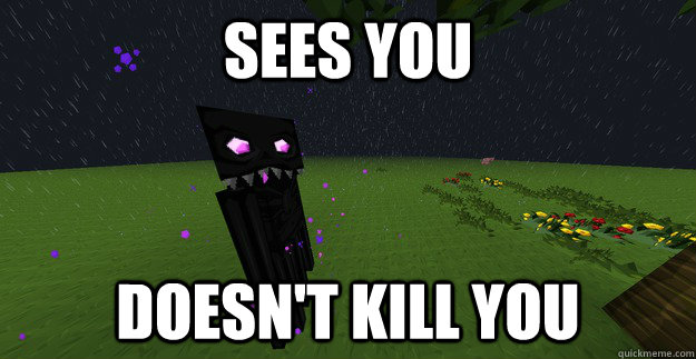 Sees You Doesn't Kill You  good guy enderman