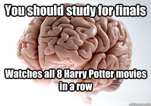 You should study for finals Watches all 8 Harry Potter movies in a row   Scumbag Brain