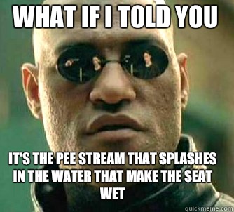 what if i told you It's the pee stream that splashes in the water that make the seat wet  Matrix Morpheus