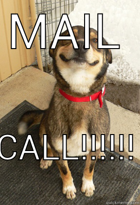 MAIL CALL!!!!!! Good Dog Greg