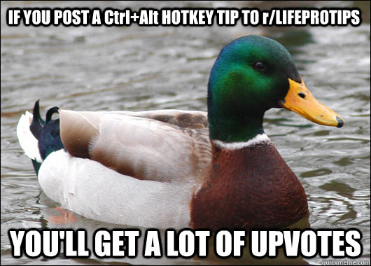 IF YOU POST A Ctrl+Alt HOTKEY TIP TO r/LIFEPROTIPS YOU'LL GET A LOT OF UPVOTES  Actual Advice Mallard