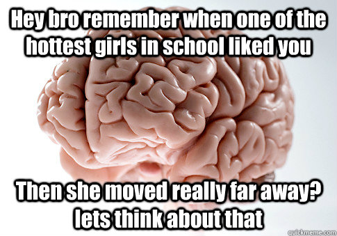 Hey bro remember when one of the hottest girls in school liked you Then she moved really far away? lets think about that  Scumbag Brain