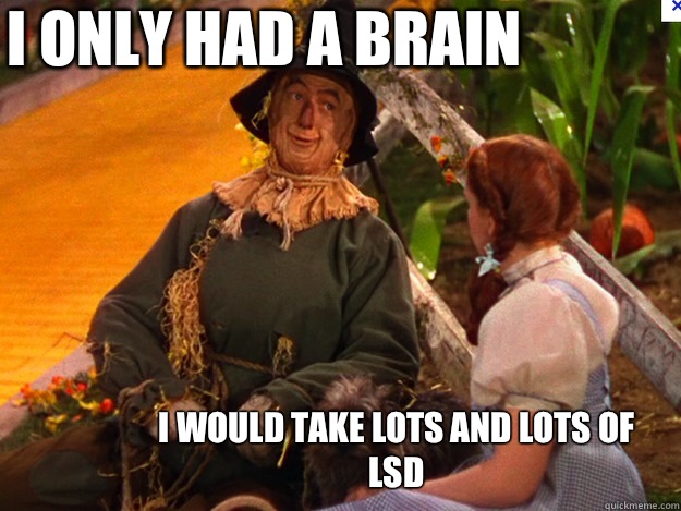 If I only had a brain I would take lots and lots of LSD  Cant do LSD