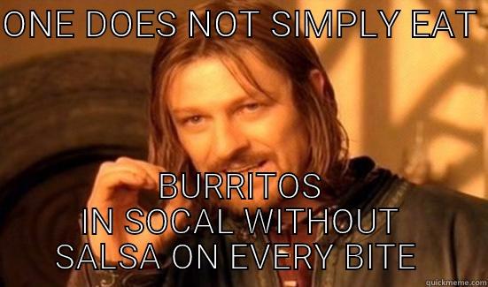 ONE DOES NOT SIMPLY EAT  BURRITOS IN SOCAL WITHOUT SALSA ON EVERY BITE  Boromir