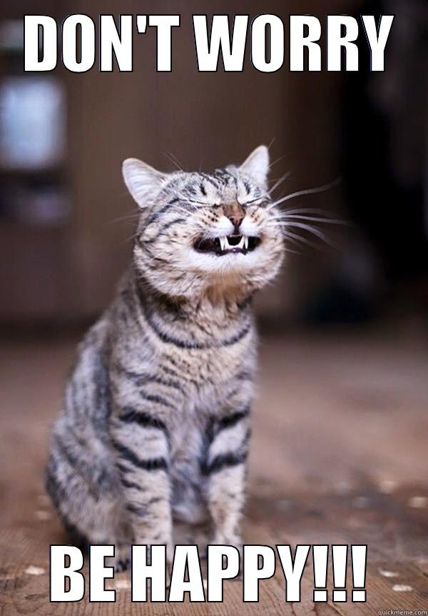 funny kitty kat! - DON'T WORRY BE HAPPY!!! Misc