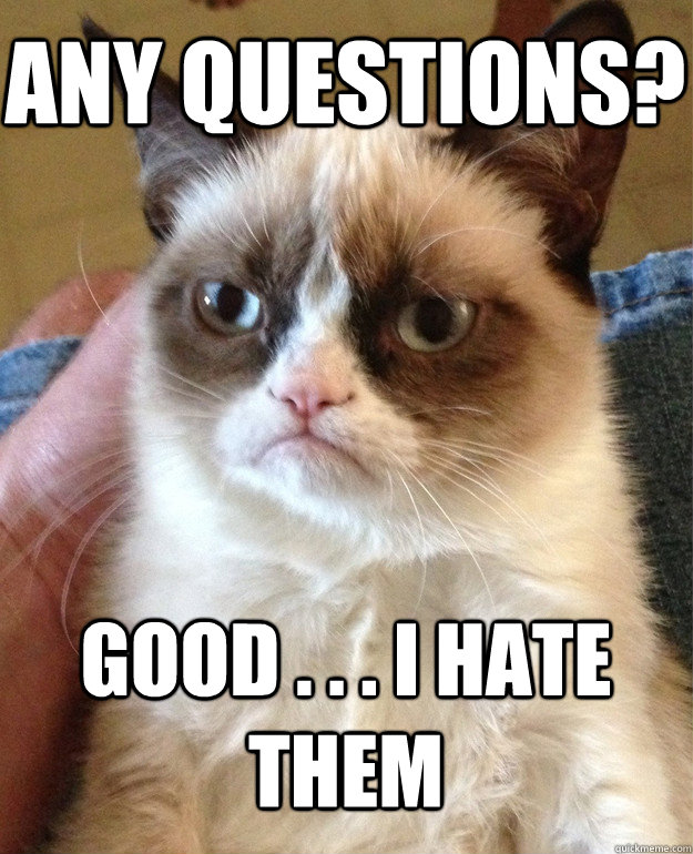 Any Questions? Good . . . I hate them - Any Questions? Good . . . I hate them  Grumpy Cat