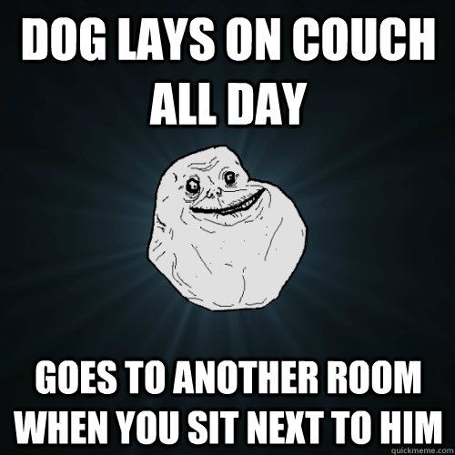 Dog lays on couch all day Goes to another room when you sit next to him  Forever Alone