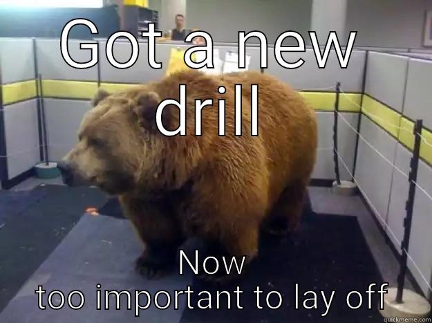 Bears funny - GOT A NEW DRILL NOW TOO IMPORTANT TO LAY OFF Office Grizzly