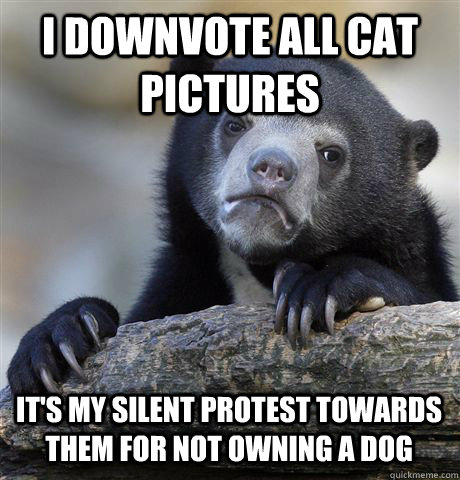 I DOWNVOTE ALL CAT PICTURES IT'S MY SILENT PROTEST TOWARDS THEm FOR NOT OWNING A DOG - I DOWNVOTE ALL CAT PICTURES IT'S MY SILENT PROTEST TOWARDS THEm FOR NOT OWNING A DOG  Confession Bear