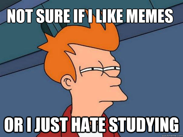 Not sure if i like memes Or i just hate studying  Futurama Fry