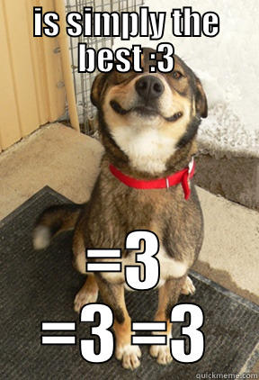 IS SIMPLY THE BEST :3 =3 =3 =3 Good Dog Greg