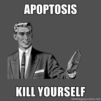 Apoptosis Bottom caption  kill yourself