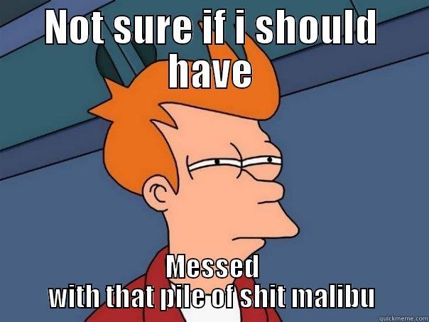 NOT SURE IF I SHOULD HAVE MESSED WITH THAT PILE OF SHIT MALIBU Futurama Fry