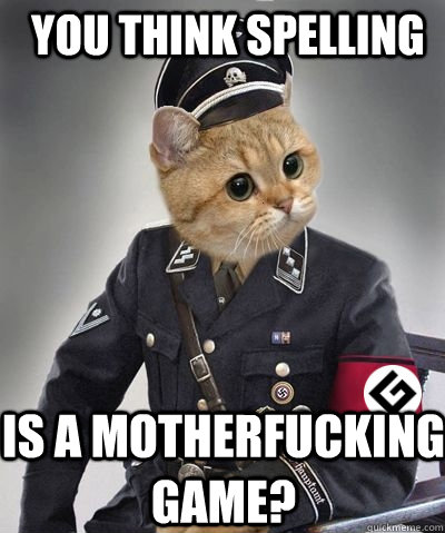 YOU THINK SPELLING  IS A MOTHERFUCKING GAME? - YOU THINK SPELLING  IS A MOTHERFUCKING GAME?  Spelling Nazi Cat