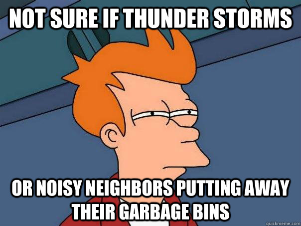 Not sure if thunder storms Or noisy neighbors putting away their garbage bins  Futurama Fry