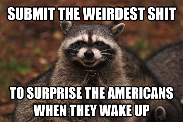 SUBMIT THE WEIRDEST SHIT TO SURPRISE THE AMERICANS WHEN THEY WAKE UP  Evil Plotting Raccoon