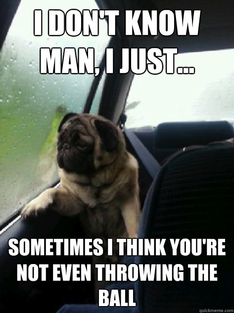 I don't know man, I just... Sometimes I think you're not even throwing the ball  Introspective Pug