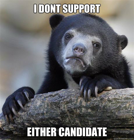 I dont support either candidate  Confession Bear