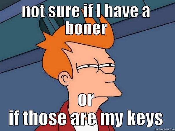 NOT SURE IF I HAVE A BONER OR IF THOSE ARE MY KEYS Futurama Fry