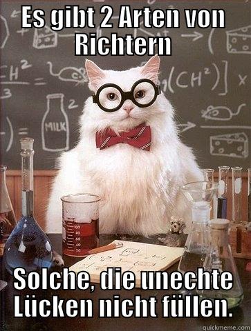 ES GIBT 2 ARTEN VON RICHTERN SOLCHE, DIE UNECHTE LÜCKEN NICHT FÜLLEN. Chemistry Cat