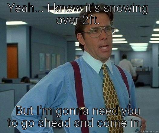 It's snow but must come to work. - YEAH... I KNOW IT'S SNOWING OVER 2FT. BUT I'M GONNA NEED YOU TO GO AHEAD AND COME IN.   Office Space Lumbergh